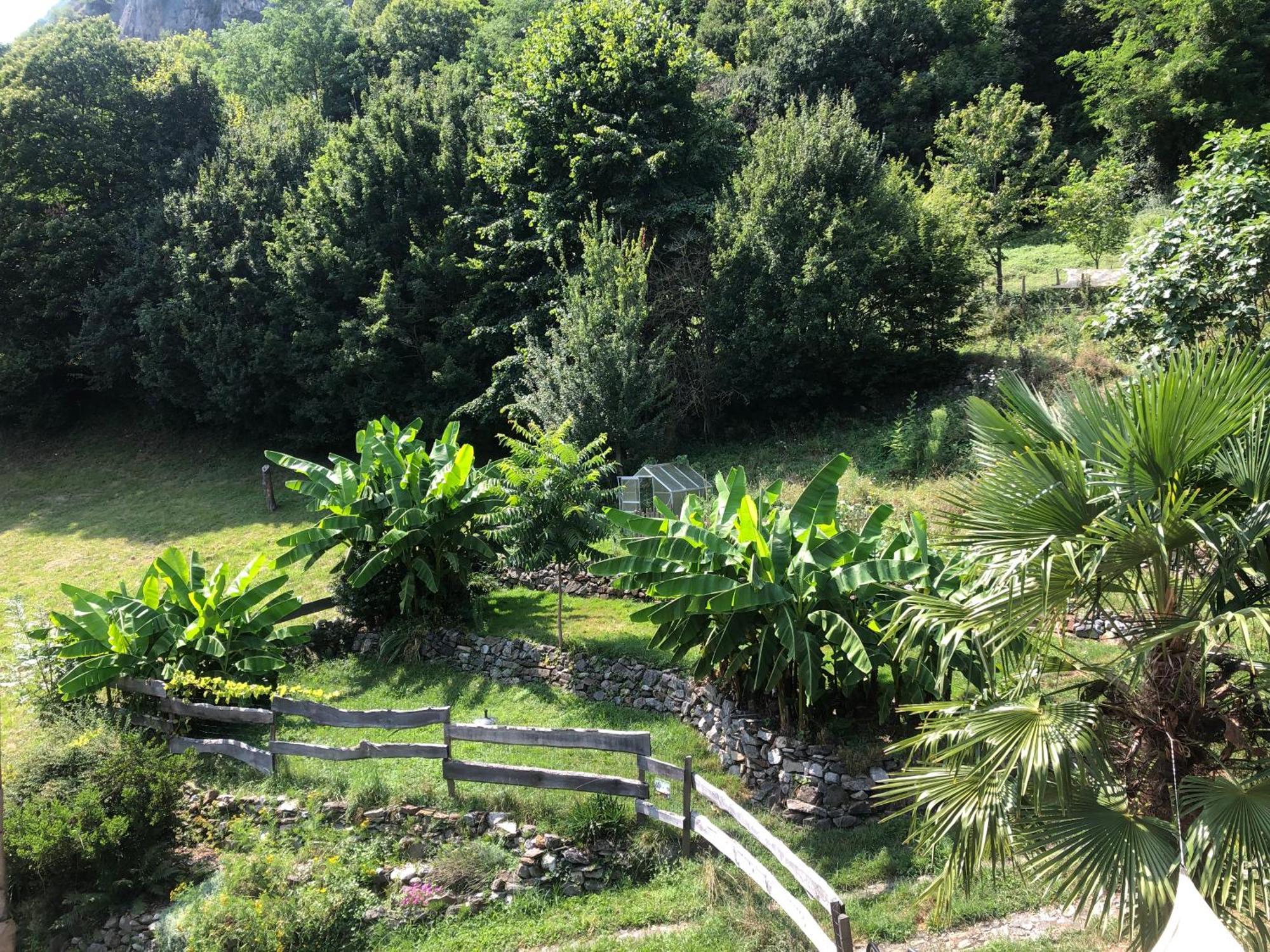 La Auarje: Appartement Avec Jardin & Terrasse Cierp Buitenkant foto