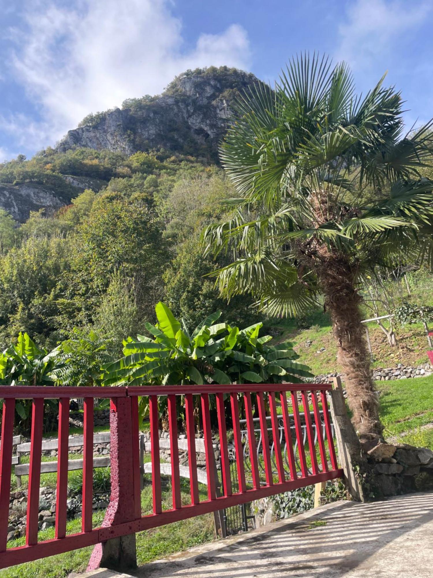 La Auarje: Appartement Avec Jardin & Terrasse Cierp Buitenkant foto